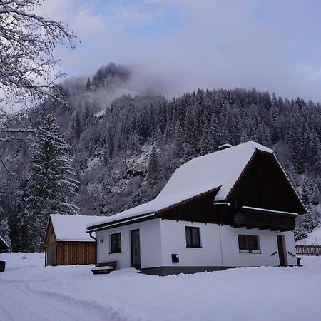 Villa Haus Cilli Donnersbachwald Exterior foto
